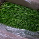 석수농장2 이미지