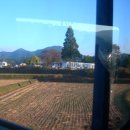 장흥군민회관 이미지