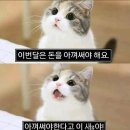 콜라피시방(인-326호) | 6월 정리