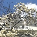 매산로L 이미지