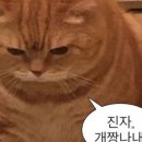 나씨공방