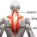 근본PT
