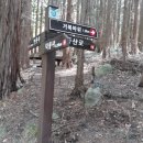 청룡사 등산로 이미지