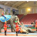 점보빌리지 이미지