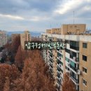 압구정-118 이미지