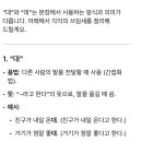 대/데 이미지
