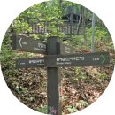 태릉중학교 | 봉화산 봉수대길과 봉화산 둘레길: 서울 아들네 집에 가면 가끔 찾는 나의 가벼운 트레킹코스랄까??