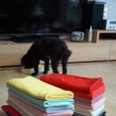 필텍스타일 이미지