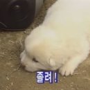 있어
