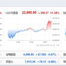 교촌석유 뉴스웍스