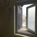 윌 무인텔 이미지