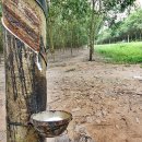 들길농장 이미지