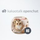 반려견,반려묘를 위한 반려동물관리사 이미지