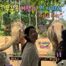 백조농장 | [베트남 푸꾸옥 여행]꼭 가봐야할곳 !빈펄 사파리 가는법부터 주트램,사파리 후기