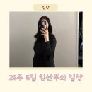 [25주5일 임산부의 일상] 임산부의 하루일상 (임산부 식사,간식,영양제 공유)
