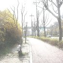 개나리민박 이미지