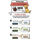 데스티니 퍼피 이미지