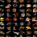 gc-camera-024 이미지