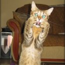 몽글몽글 이미지