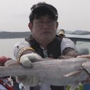 도시어부 이미지