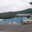 청림축산 이미지