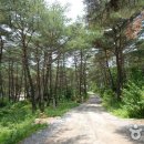달천계곡 상류 | 충북 괴산 갈만한곳 베스트10 | 여행지 추천
