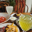 파스타숲 이미지