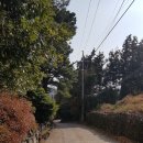 오일장형제 이미지