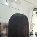 살롱드제이(salondeJ)