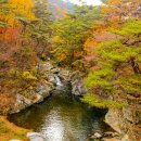 가야산로 이미지