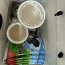 방이동 맛집 참치아리 최애 안주 참치 내돈내산 후기
