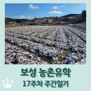 그린자동차 | 보성 농촌유학 17주차 주간일기 / 친정엄마와 보성 나들이 / 눈 내리는 주말