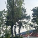 GS25 연남공원 이미지