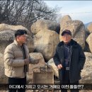 꼭이요농장 이미지