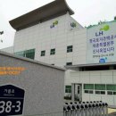 어진동_LH세종특별본부 네이버블로그