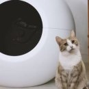 미유컴퍼니 이미지