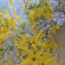 강서늘푸른합창단 | 김포공항 국내선 1주차장 예약 주차비용 할인 후기