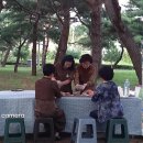 송림향 이미지