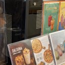 전주 근교 카페, 김제 카페 : 카페 아울 OWL