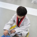 계명대 마루태권도장 이미지