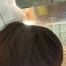 블루밍 안경 네이버블로그