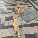 [주간일기] - 이번주 좀 바빴어요