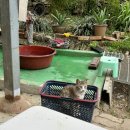 라파농장 이미지