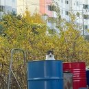 베르나르 스터디카페 영남대점 | 영남대 경산 시지 스터디카페 주차 가능한 24시간 운영 스카베르나르스터디카페 추천