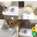 아르르(Arr) 이미지