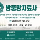 비두초등학교 이미지