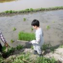 김태성농장 이미지