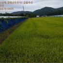 웅양면 오산경로당 이미지