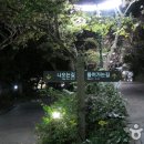 천지연 폭포 이미지