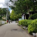 수리산 산림욕장 이미지